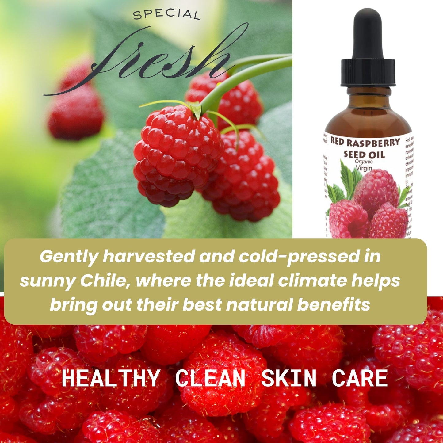 Huile de Framboise Rouge Bio
